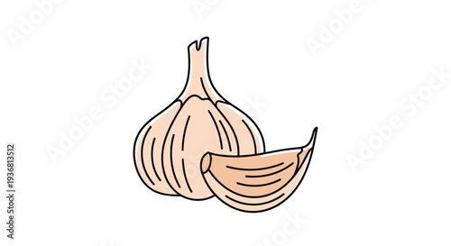 Simple colored cartoon illustration of a whole garlic bulb and a single separate clove, perfect for cooking and recipe designs, isolated on white.