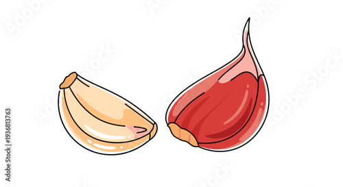 Colorful cartoon illustration of two peeled garlic cloves, one regular white and one red variety, isolated on a white background for recipe designs.