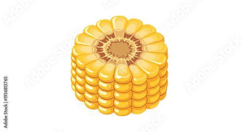 A thick, round cross-section slice of a yellow corn on the cob, showing the individual kernels and the core, isolated on a white background.