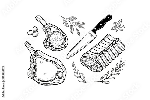 Meat vector illustration with knife and herbs on a cutting board
