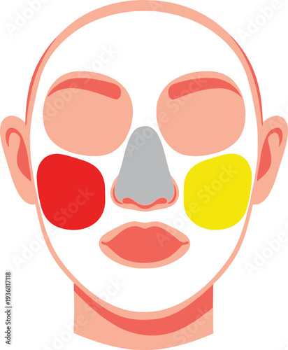 Diagram illustrating different skin zones on a face for targeted cosmetic application or analysis.