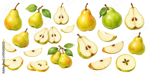 A charming watercolor collection of green and yellow pear fruits with slices for botanical food graphics and recipe design.