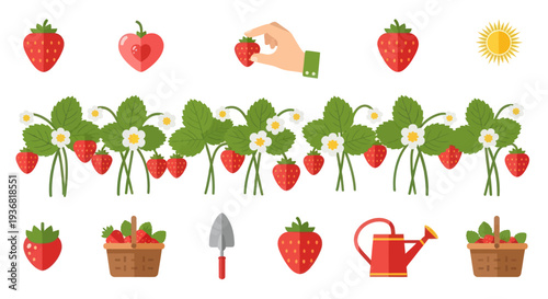 Strawberry Garden Harvest - Flat Design Elements Vector Illustration