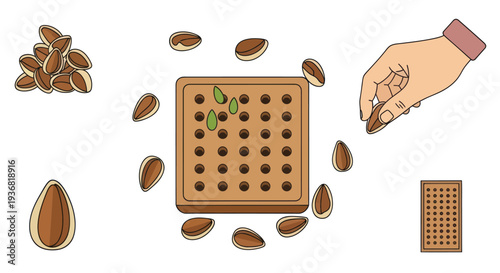 Hand Planting Seeds in Square Tray, Organic Gardening Concept