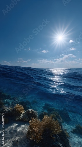 Wallpaper Mural Vertical Perspective of a Coral Reef Under Bright Sunlight with Tranquil Ocean Waves Torontodigital.ca