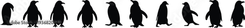 Penguin Flat Style Vector Black Icon Set, Antarctic Bird Silhouette Symbol Collection and Wildlife Outline Graphic Group Featuring Penguin, Seabird and Flightless Bird