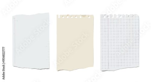 Set of 3 Torn Paper Notes Vector