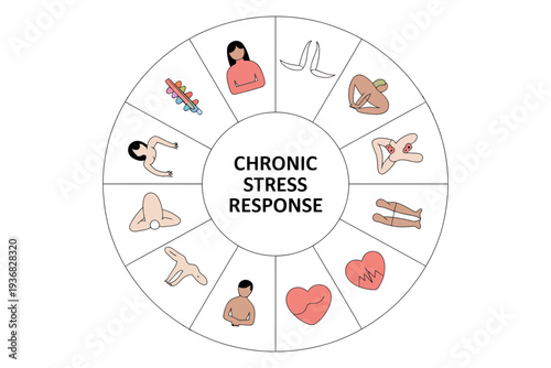Stress response colorful circular infographic with chronic stress symptoms