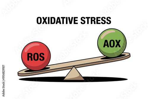 Oxidative stress vector illustration with ROS and AOX balance concept