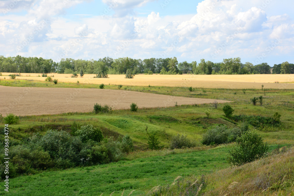 Naklejka premium Rural Landscape with Golden Fields and Green Hills and some trees Under a Cloudy Sky