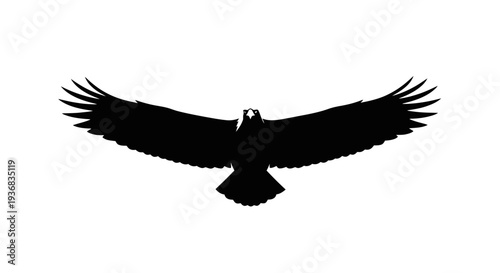 Black silhouette of a soaring eagle with outstretched wings on white background