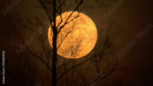 raising natural full moon, nature is cool series