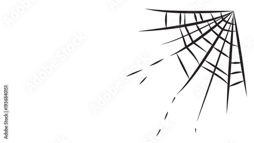 Spider web black ink graphic with radial lines and sparse threads on white background, vector art. featuring insect, arachnid, creature with animal