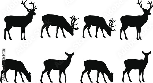 Deer silhouette vector set, stag buck and doe wildlife animal collection, forest mammal icons isolated nature design