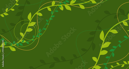 natura, rami, piante, rampicanti, edera, liane