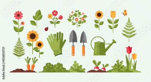 Collection of Gardening Tools and Plants for Gardening.