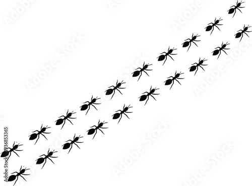 Ant silhouette trail illustration, marching ants pattern isolated on white background, teamwork movement concept for nature pest control design