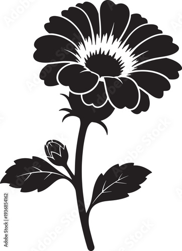 Silhouette of daisy flower and bud on checkered background vector illustration graphic design element nature botany floral bloom petal stem leaves garden plant spring summer beauty decorative