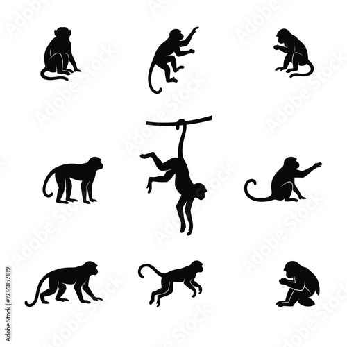 Monkey Silhouette Vector Set - Various Primate Poses, Sitting, Climbing, and Swinging Silhouettes