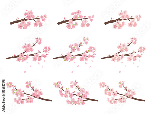 桜の花枝セット