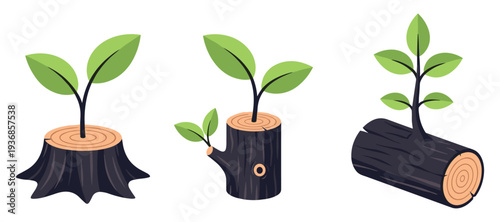 Young tree shoots sprouting from stump and log illustrations
