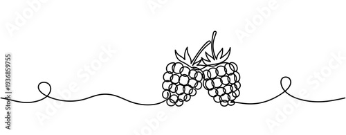 Raspberry pair connected on continuous line illustration. none editable strokes