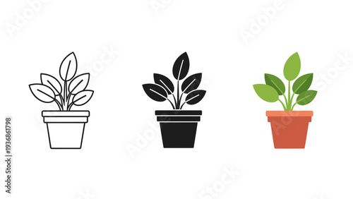 Potted Plant Growth Concept Commercial Asset