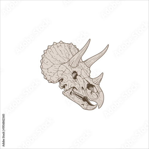 dinosaur bone drawing artwork handmade illustration