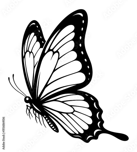Stylized black and white illustration of a graceful butterfly in midflight isolated on transparent background