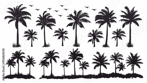 Collection of palm tree silhouettes with birds flying overhead