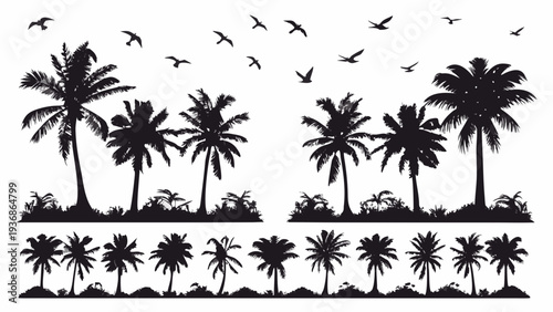 Black silhouettes of palm trees and birds in tropical landscape