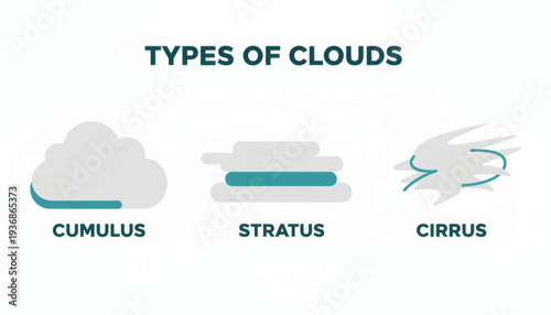 Types of clouds vector infographic. Minimalist flat design illustration of Cumulus, Stratus, and Cirrus cloud icons. Educational weather diagram isolated on white background