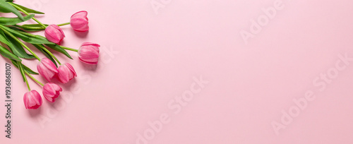 Pink tulips flower bouquet with gift boxes on pink background. Greeting card, 8 march, Womens day, Mothers day, Happy Birthday, Easter, Valentines day. Wide floral banner, top view