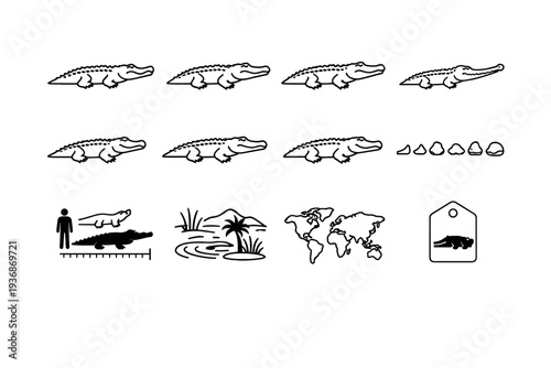Crocodile Species. Line icon set of Crocodile Species: saltwater crocodile, nile crocodile, american crocodile, gharial, caiman, freshwater crocodile, dwarf
