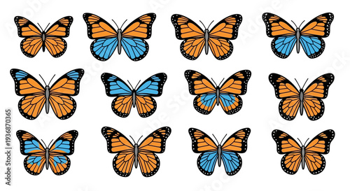 A collection of monarch and blue butterflies arranged in a grid pattern