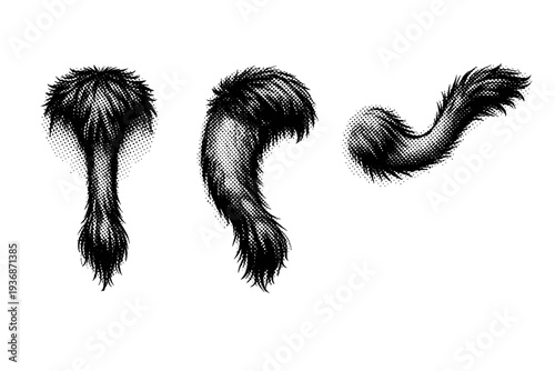 Bactrian camel tail A realistic Bactrian camel tail illustrated as one object in three different positions to convey form, fur density, and volume. Black and