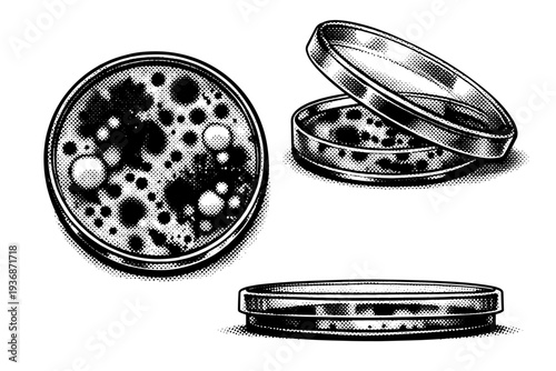 Contaminated petri dish ? open petri dish lid and base with visible contamination shown from top-down view, offset lid angle, and side profile focusing on dish