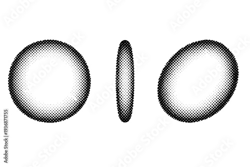 Halftone dotted circle shape. A single dotted circle shape shown in three views: front view, side view, and three-quarter view, accurately representing