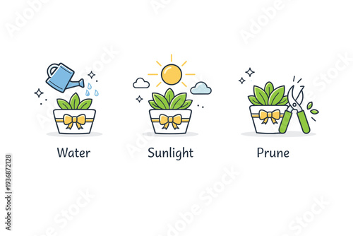 Plant gift routine visuals. Abstract icons showing watering, sunlight, and pruning for potted gifts, arranged in a clear instructional layout. Calm,