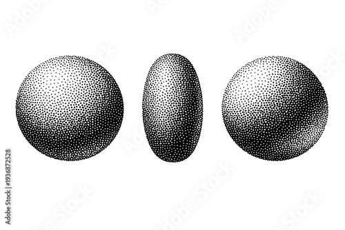Dotted noise grain texture with organic irregular dot spacing shown from front view, side view, and three-quarter perspective as a single object set with