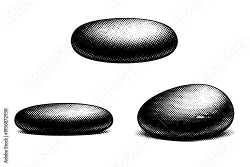 Rocky seabed pebble, smooth rounded seabed pebble shown from top view, side profile, and three-quarter view with accurate proportions. Black and white dot