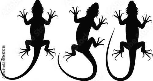 Lizard silhouette collection, black gecko reptile set in different poses, detailed animal vector illustration isolated on white background