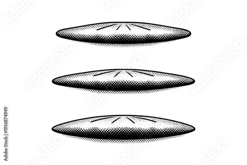 Sand dollar edge profile A realistic sand dollar edge profile showing thin disc shape and subtle thickness variation, displayed as the same edge profile in