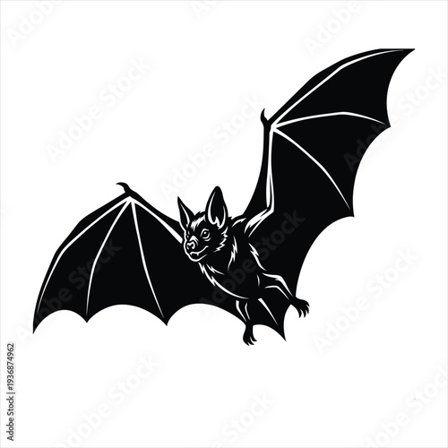 bat on white background