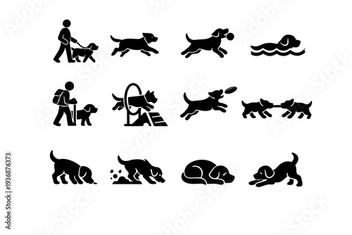 Dog Activities. Solid icon set of Dog Activities: dog walking, dog running, dog playing fetch, dog swimming, dog hiking, dog agility course, dog frisbee catch,
