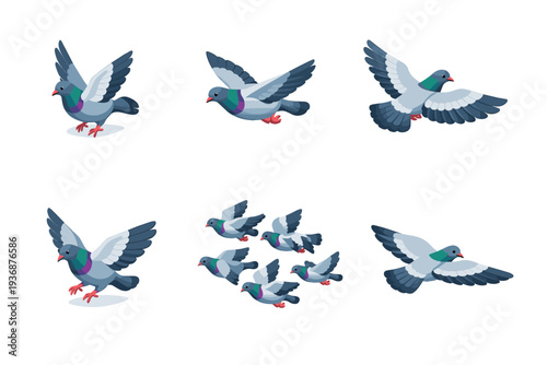 FlyingPigeons. Isometric flat vector icons set of flyingpigeons: pigeon taking off, pigeon mid flight, pigeon wings spread, pigeon landing, pigeon flock,
