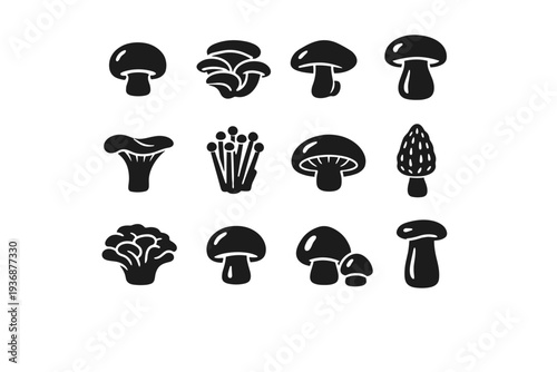 Edible Mushrooms. Solid icon set of Edible Mushrooms: button mushroom, oyster mushroom, shiitake mushroom, porcini mushroom, chanterelle mushroom, enoki