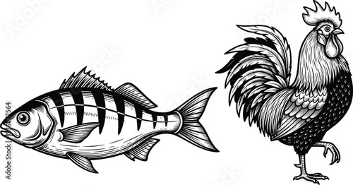 Vintage engraving fish and rooster illustration set, detailed hand drawn farm animal and seafood vector design in classic retro style