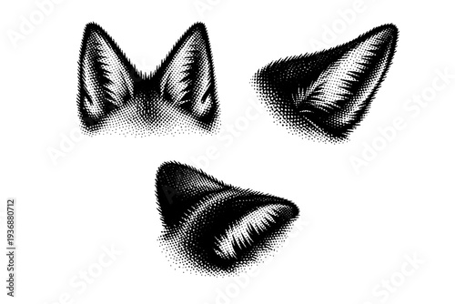 Red fox ear with sharp triangular shape shown upright, angled outward, and slightly folded back with realistic fur volume. Black and white dot style with