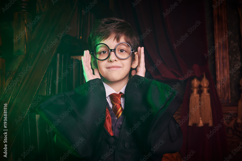 Fototapeta premium Calm Wizard Portrait